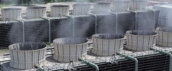 legionella-bakterium